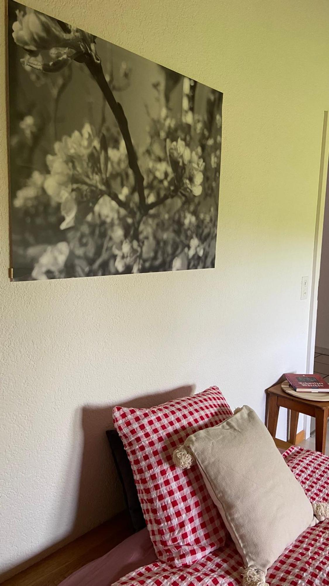 Naturnahe Familienwohnung Ruschegg エクステリア 写真