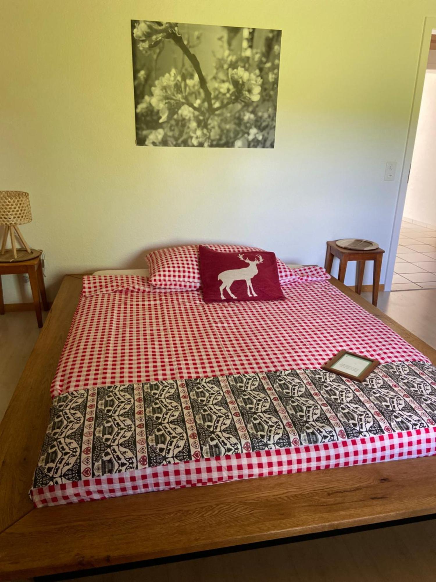 Naturnahe Familienwohnung Ruschegg エクステリア 写真