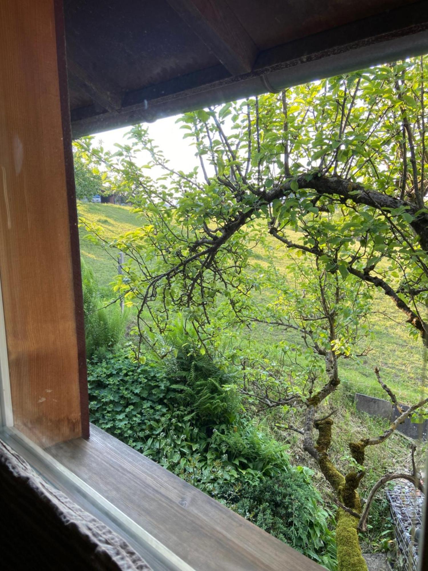 Naturnahe Familienwohnung Ruschegg エクステリア 写真