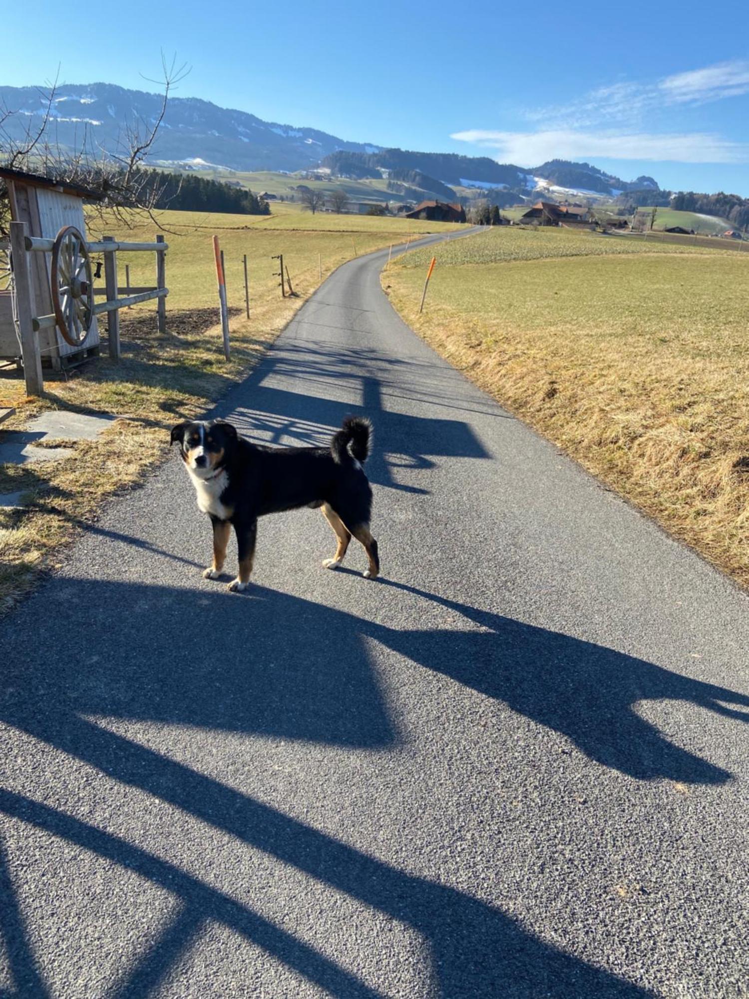 Naturnahe Familienwohnung Ruschegg エクステリア 写真