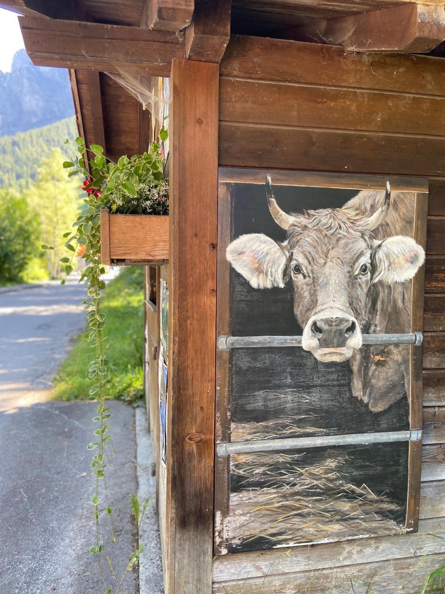 Naturnahe Familienwohnung Ruschegg エクステリア 写真