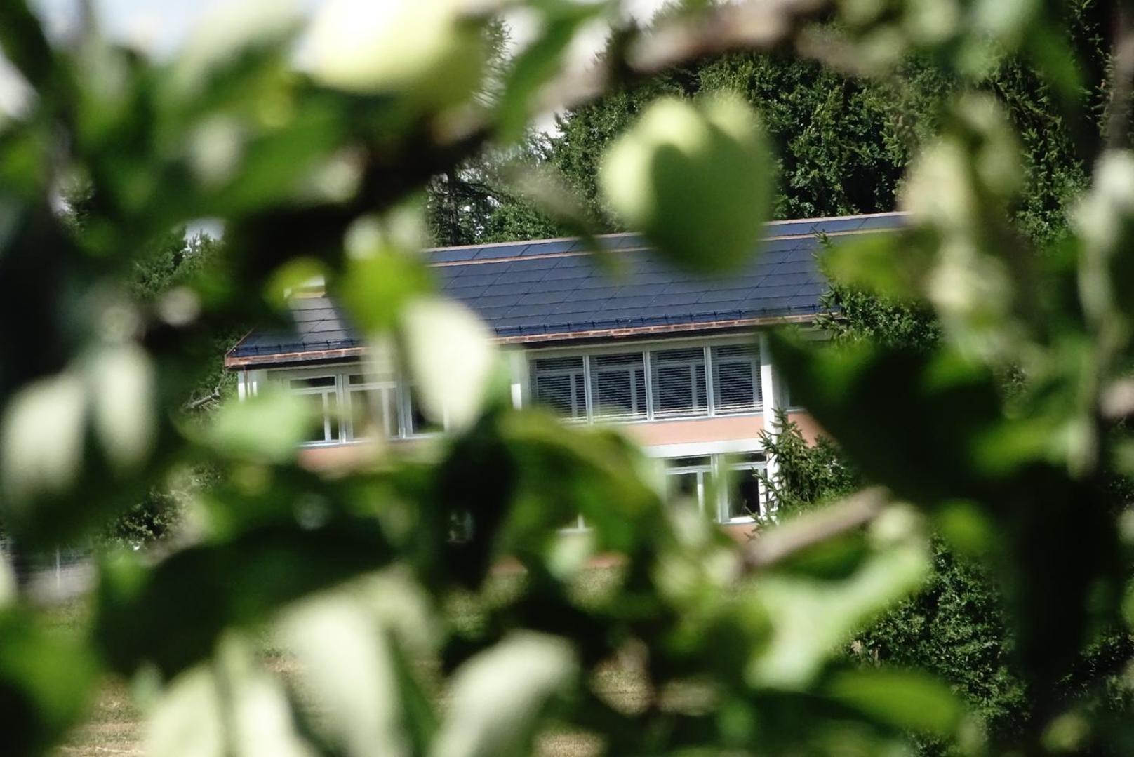 Naturnahe Familienwohnung Ruschegg エクステリア 写真